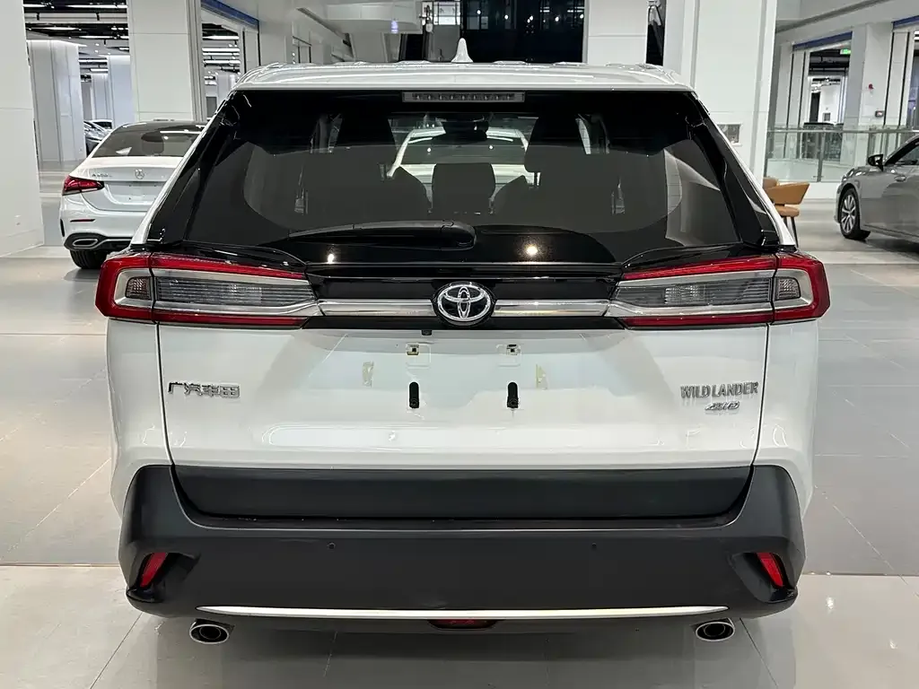 Toyota Wildlander 2021 из CN, фото 5