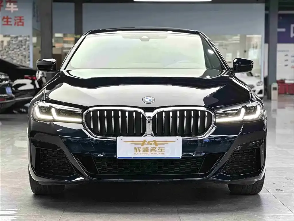 BMW 5 Series 2023 из CN, фото 2