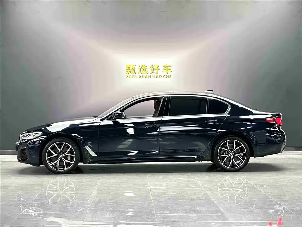 BMW 5 Series 2023 из CN, фото 3