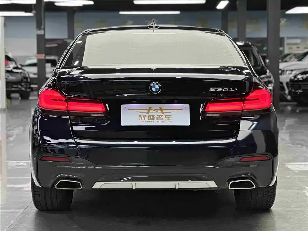 BMW 5 Series 2023 из CN, фото 4