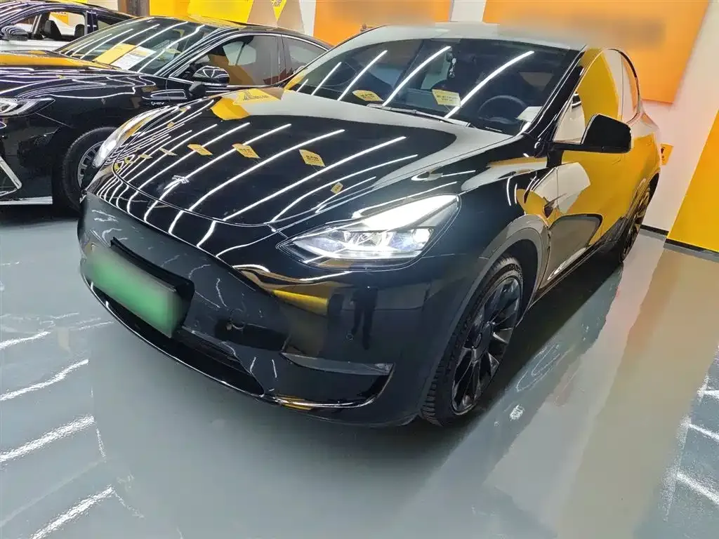 Tesla Model Y — фото 2
