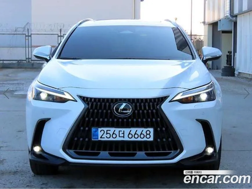 Lexus NX 2025 из KR, фото 1