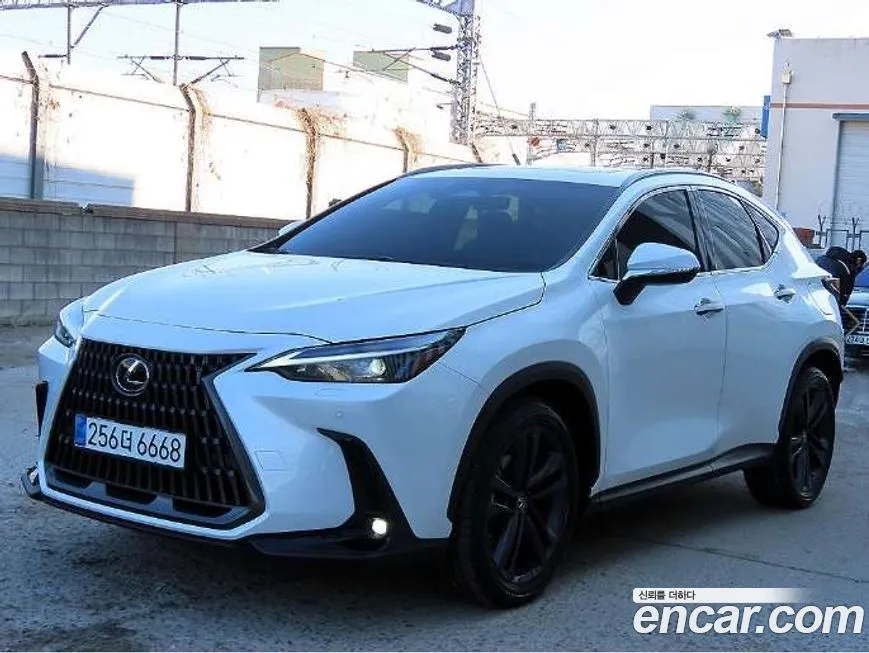 Lexus NX 2025 из KR, фото 2