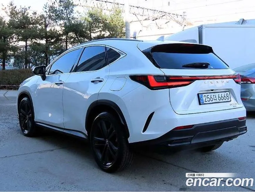 Lexus NX 2025 из KR, фото 3