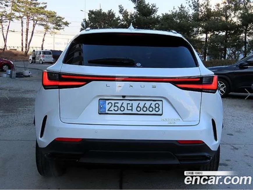 Lexus NX 2025 из KR, фото 4