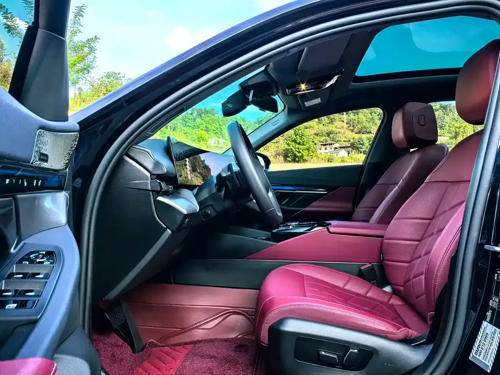 BMW 5 Series 2024 из CN, фото 4