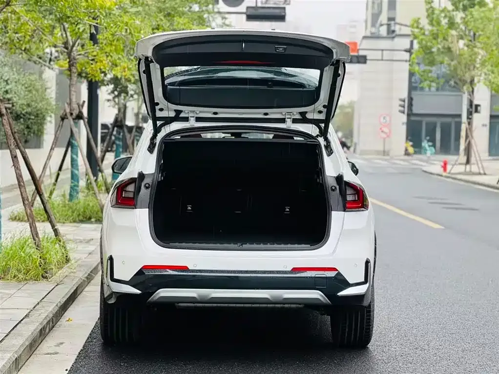 BMW X1 2025 из CN, фото 6