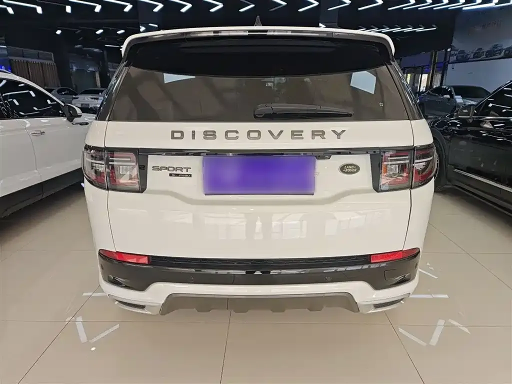Land Rover Discovery Sport 2021 из CN, фото 6