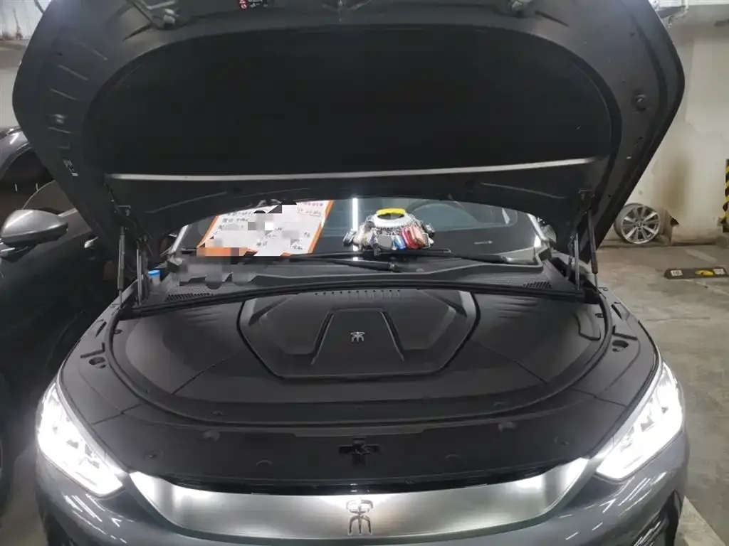 BYD PLUS New Energy 2023 из CN, фото 10
