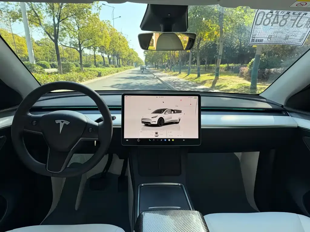 Tesla Model Y — фото 10