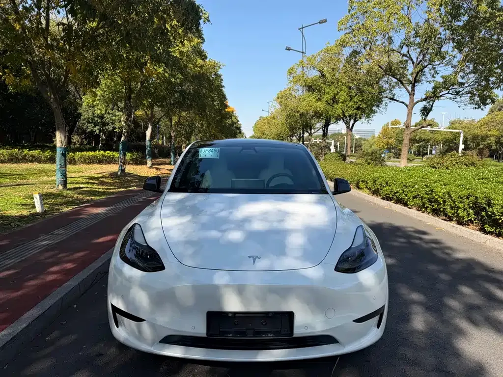 Tesla Model Y — фото 2
