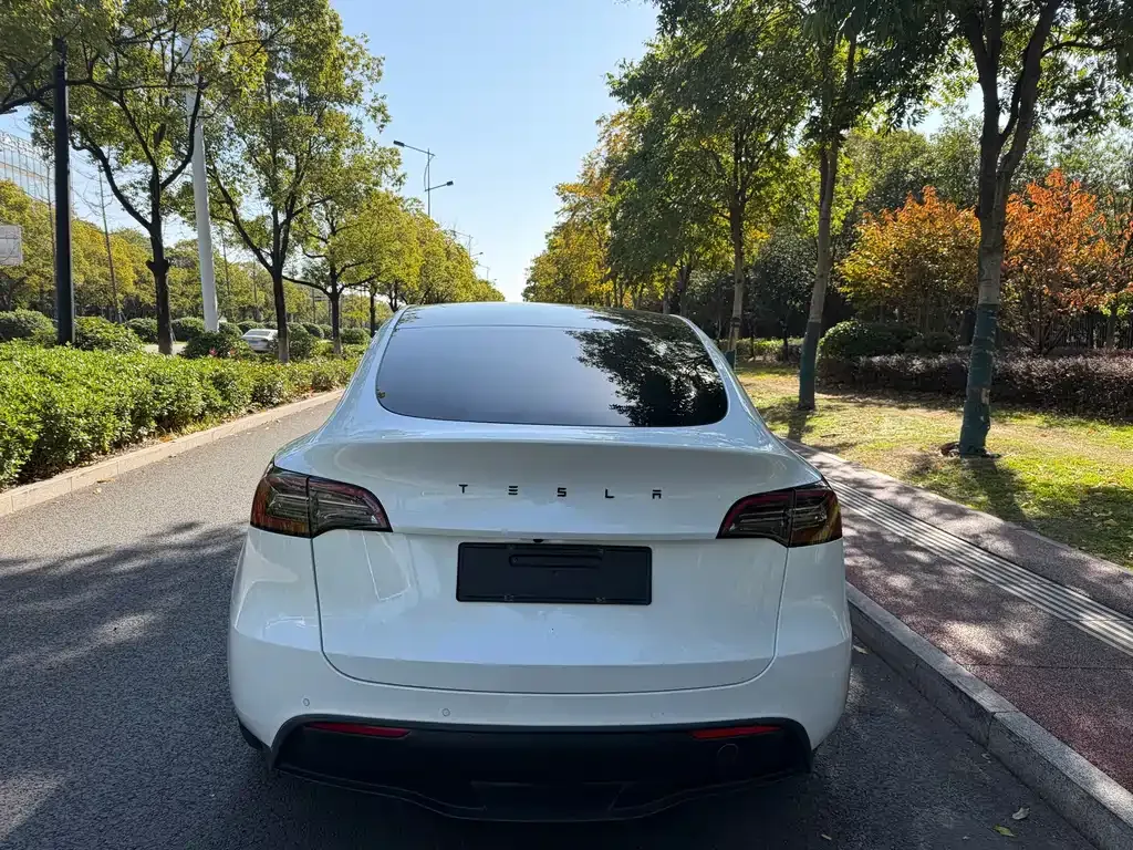 Tesla Model Y — фото 4