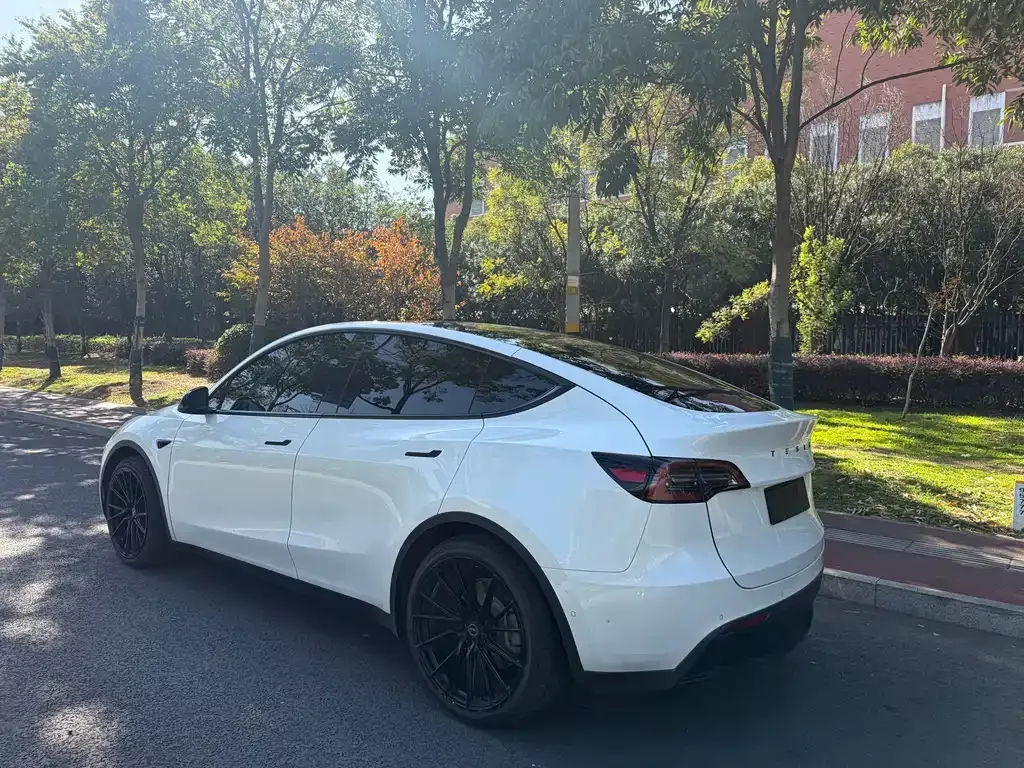 Tesla Model Y — фото 5