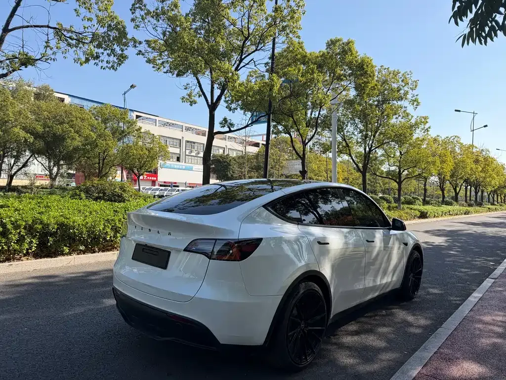 Tesla Model Y — фото 6