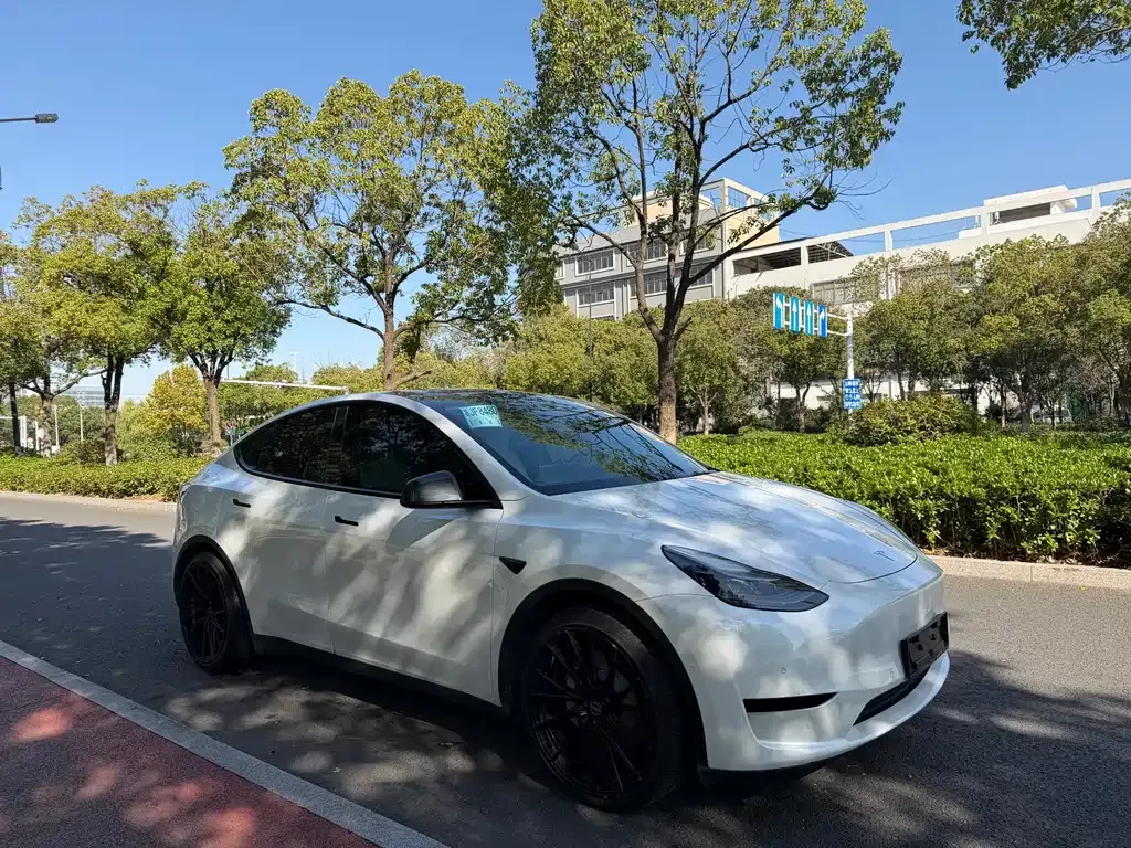 Tesla Model Y — фото 7