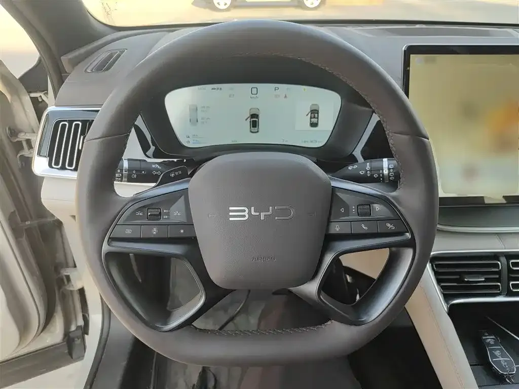 BYD PLUS New Energy 2025 из CN, фото 10