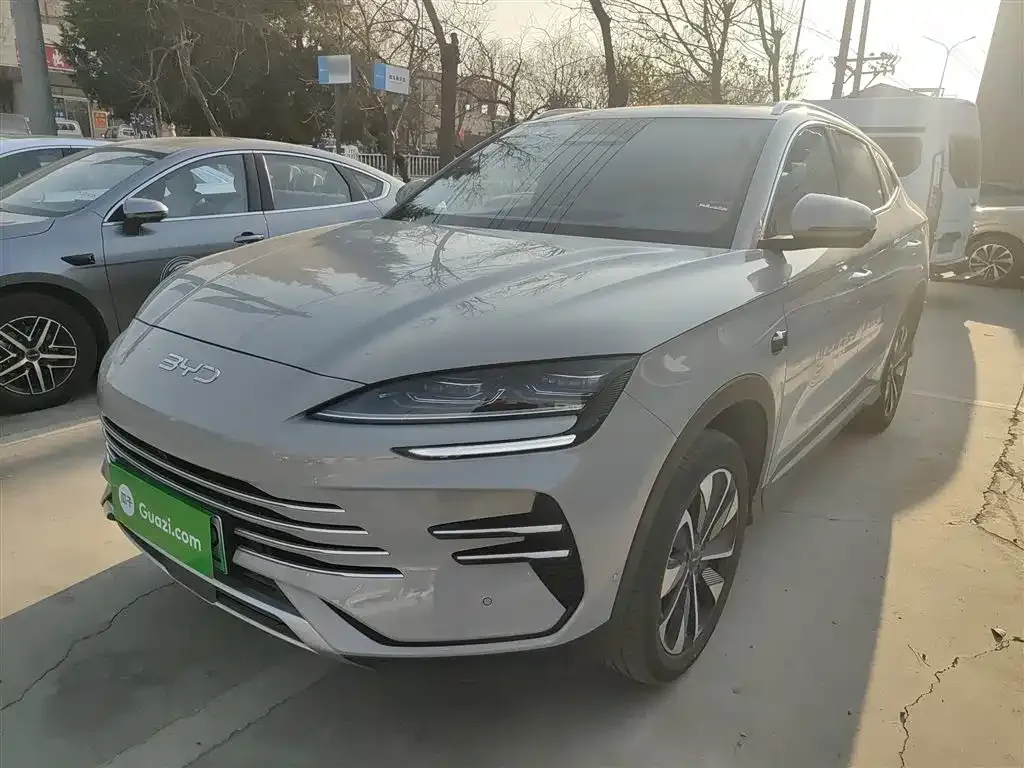 BYD PLUS New Energy 2025 из CN, фото 2