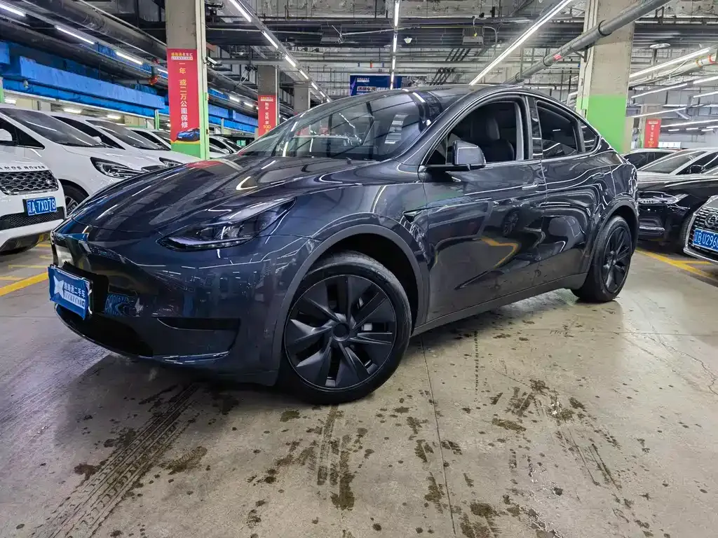 Tesla Model Y — фото 1