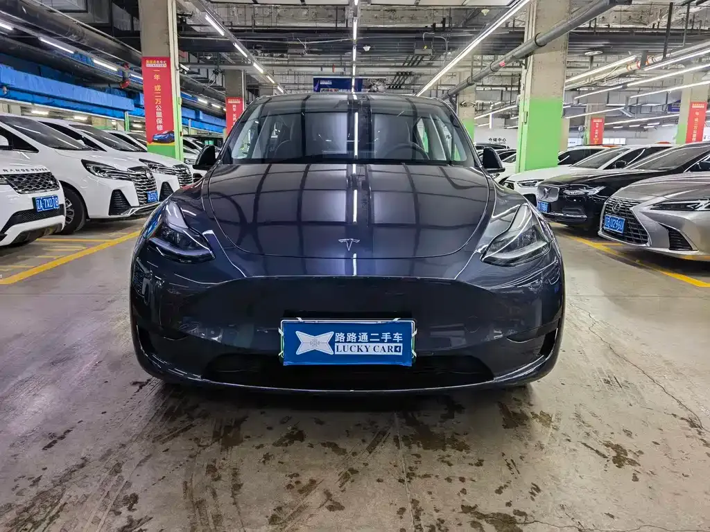 Tesla Model Y — фото 2