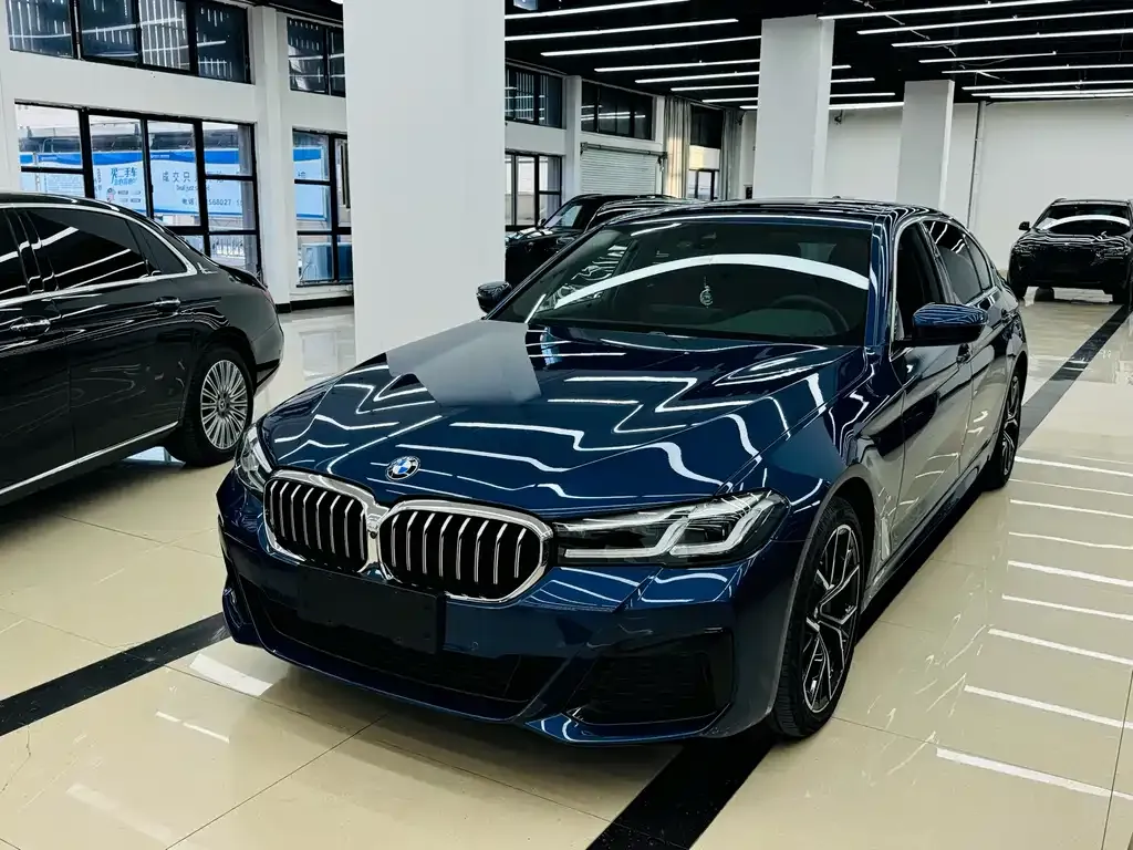 BMW 5 Series 2023 из CN, фото 2