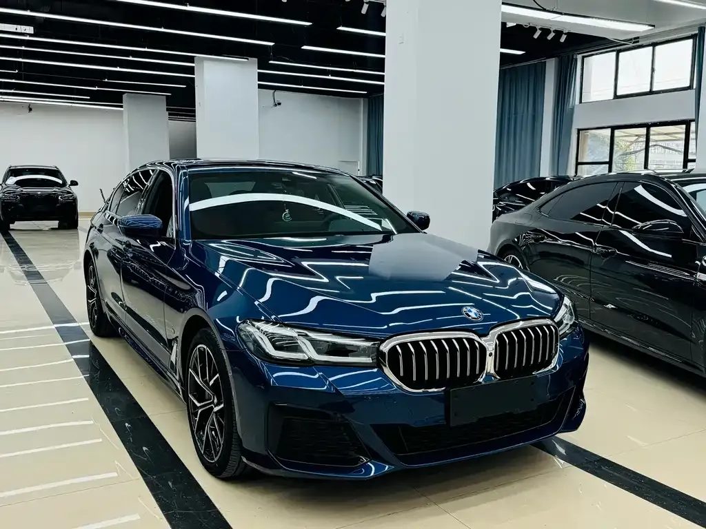 BMW 5 Series 2023 из CN, фото 3