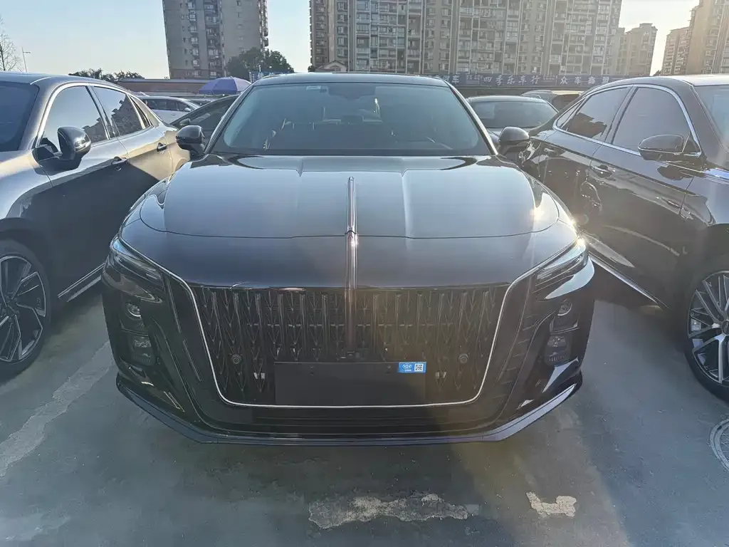 Hongqi H5 2024 из CN, фото 2