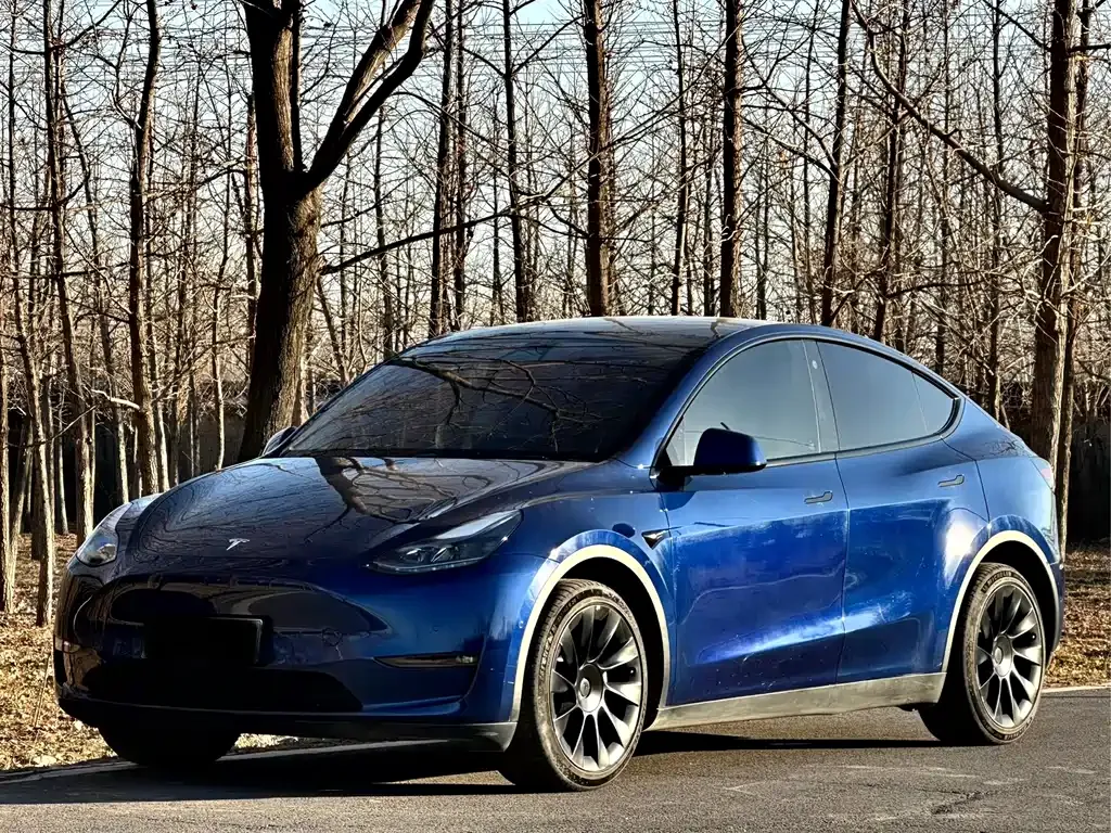 Tesla Model Y — фото 1
