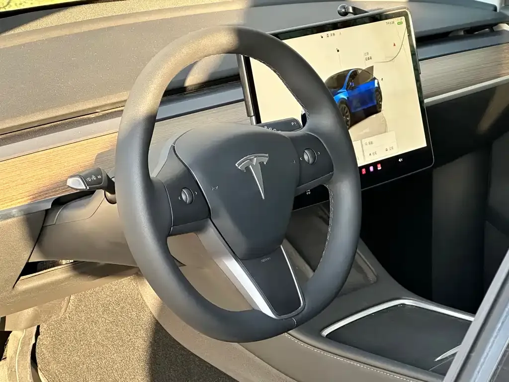 Tesla Model Y — фото 10
