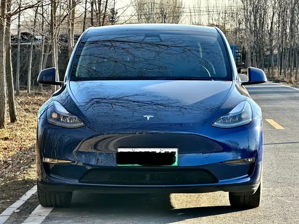Tesla Model Y — фото 2