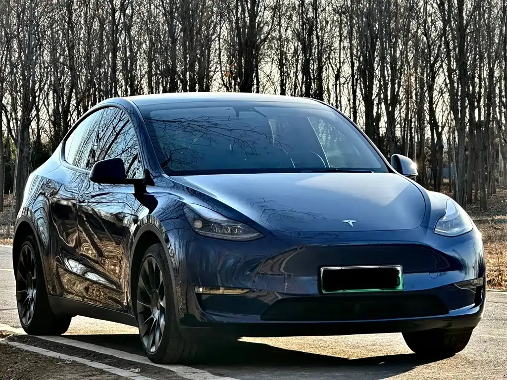 Tesla Model Y — фото 3