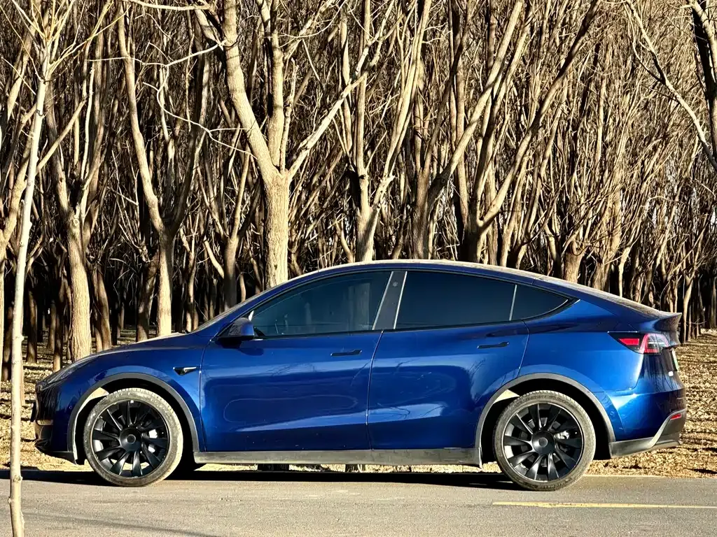 Tesla Model Y — фото 4