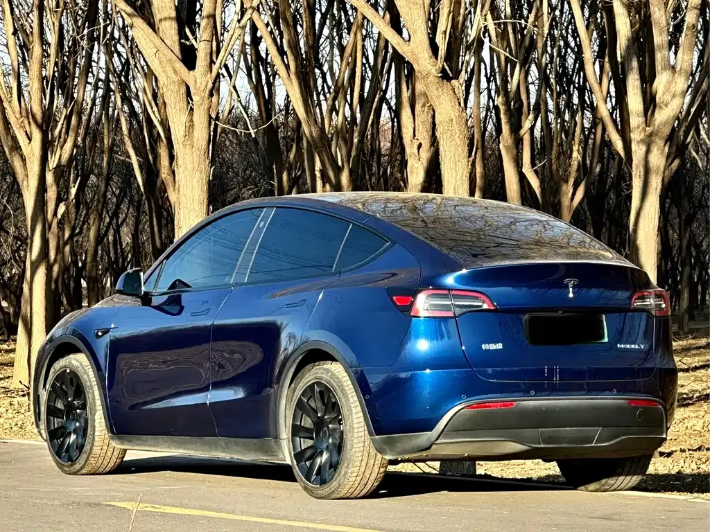 Tesla Model Y — фото 5
