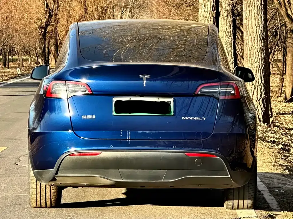 Tesla Model Y — фото 6