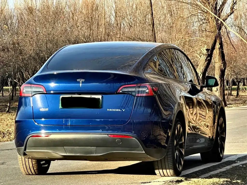 Tesla Model Y — фото 7