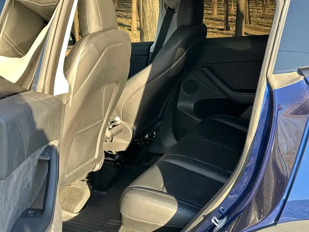 Tesla Model Y — фото 8