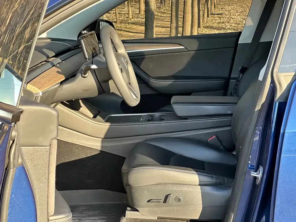 Tesla Model Y — фото 9