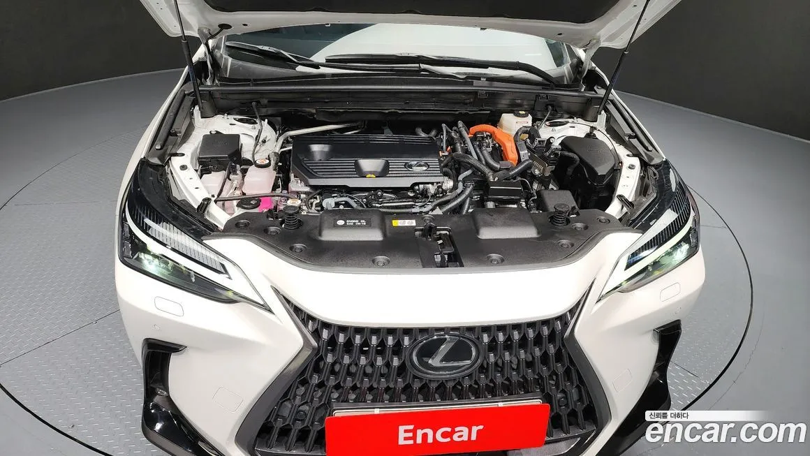 Lexus NX 2022 из KR, фото 6
