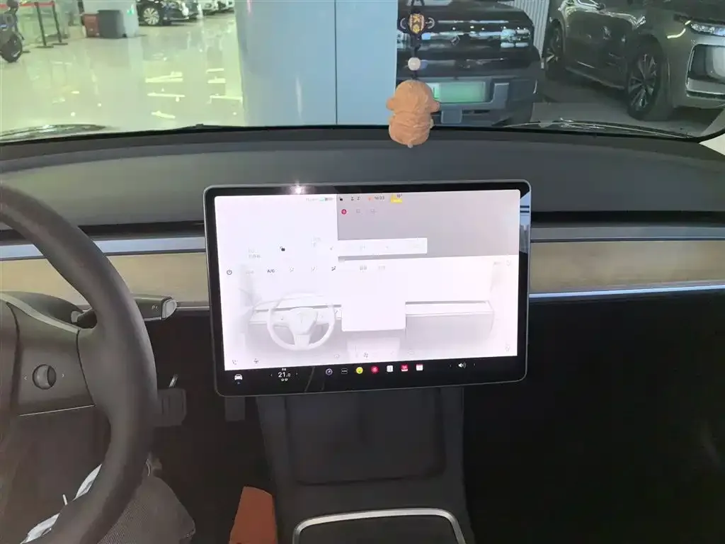 Tesla Model 3 2021 из CN, фото 10