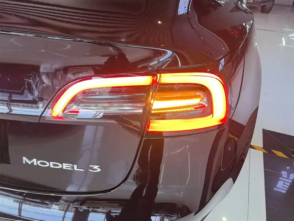 Tesla Model 3 2021 из CN, фото 8
