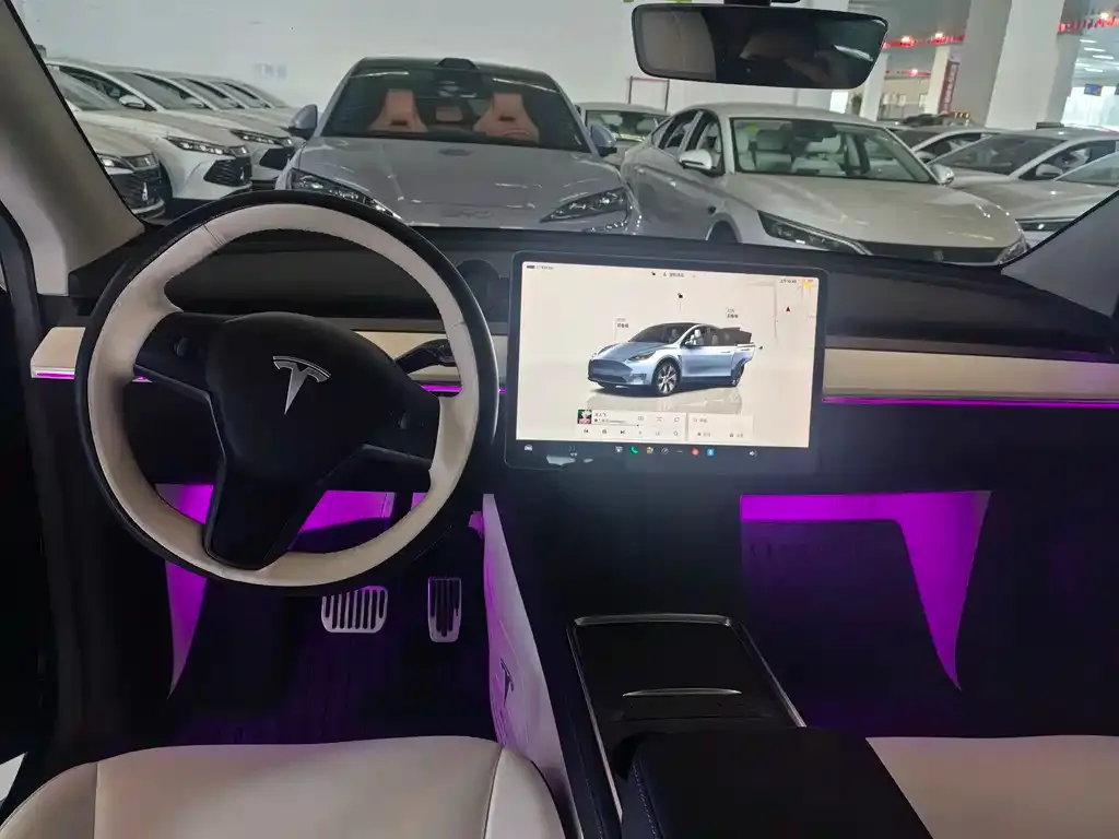 Tesla Model Y 2022 из CN, фото 6