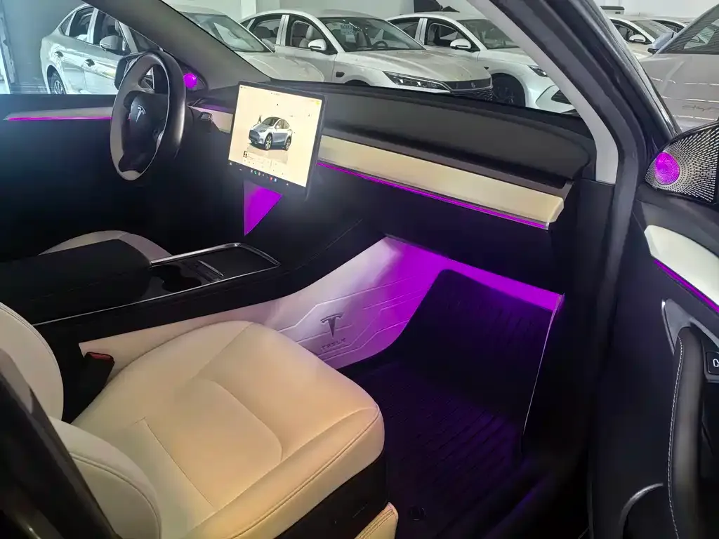 Tesla Model Y 2022 из CN, фото 7