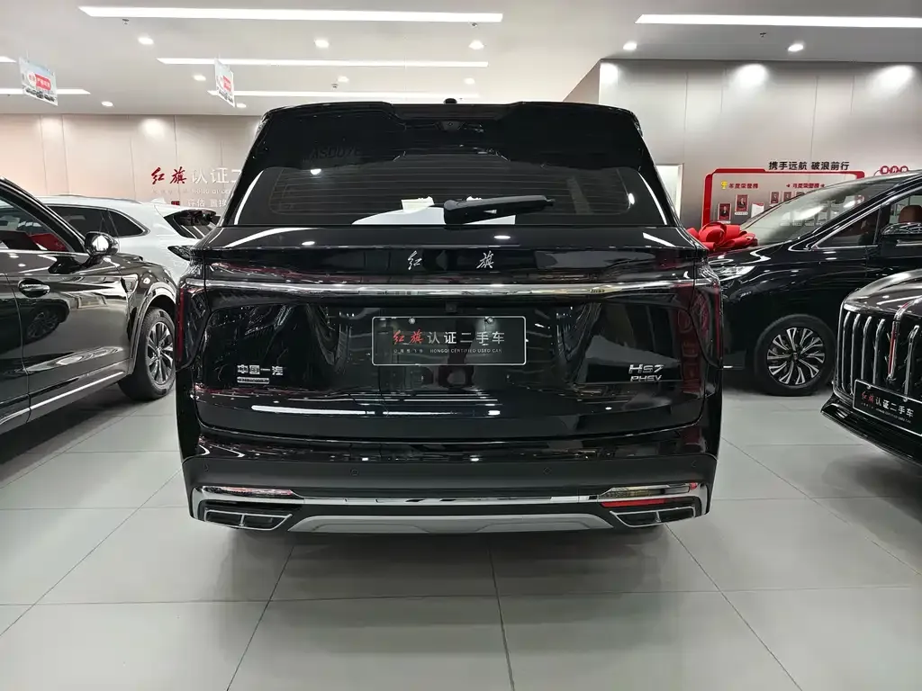 Hongqi HS7 PHEV 2024 из CN, фото 10