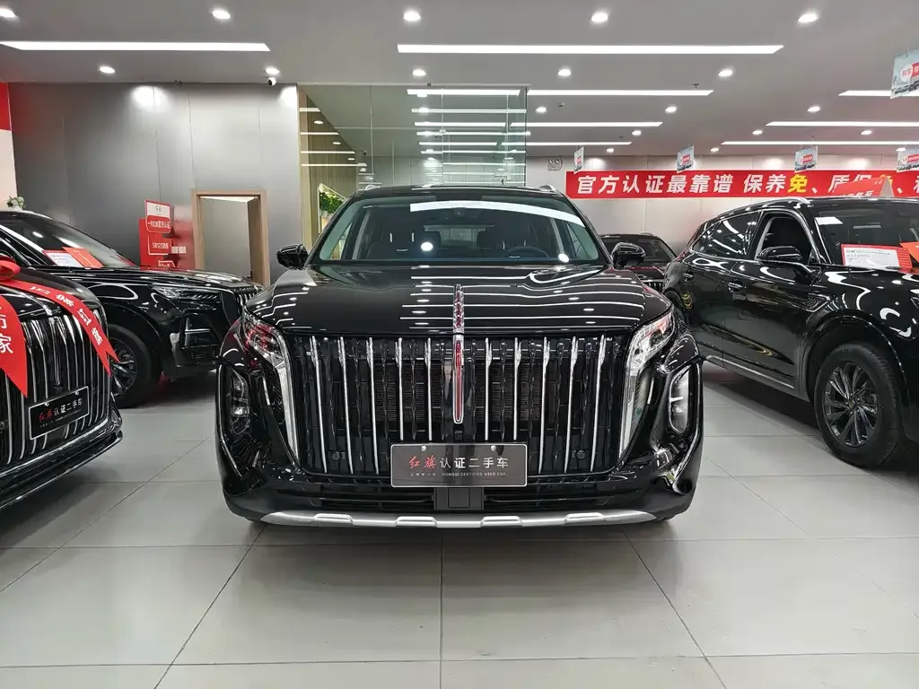 Hongqi HS7 PHEV 2024 из CN, фото 2