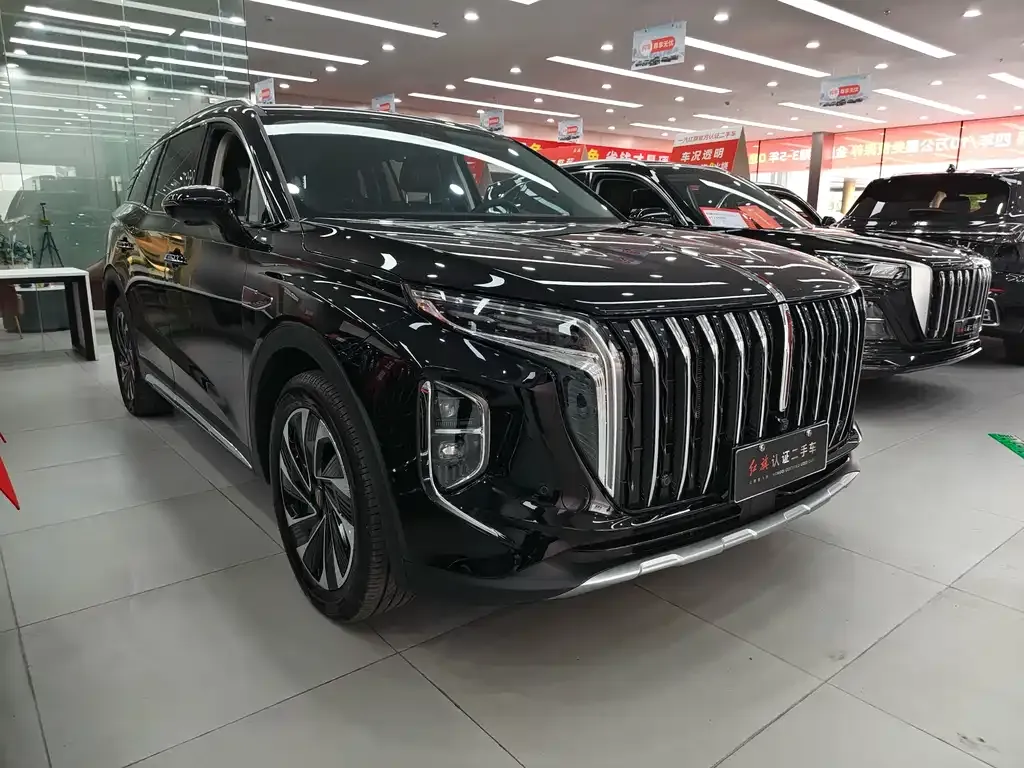 Hongqi HS7 PHEV 2024 из CN, фото 3