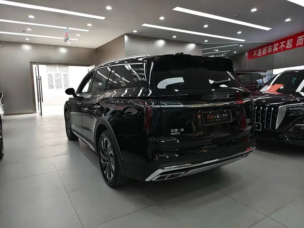 Hongqi HS7 PHEV 2024 из CN, фото 9