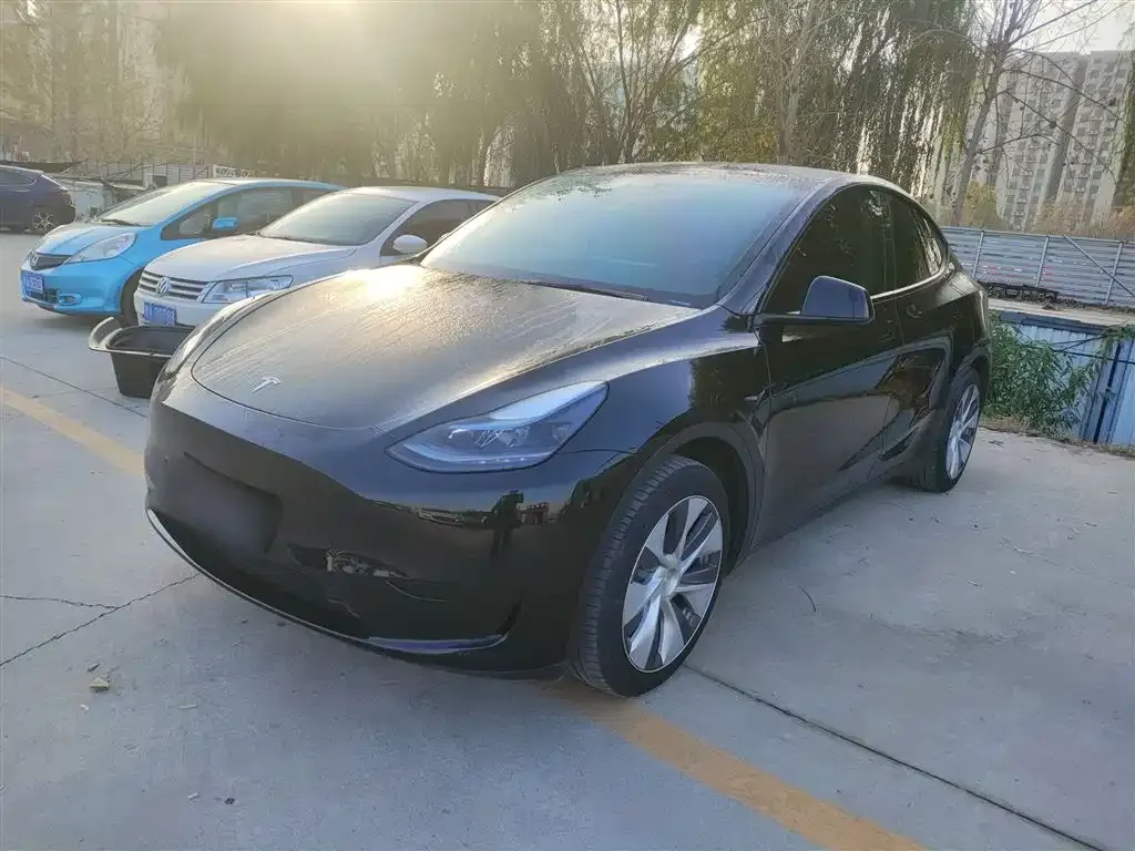 Tesla Model Y — фото 1