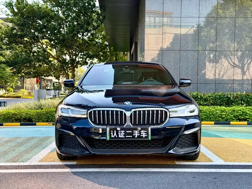 BMW 5 Series New Energy — фото 2
