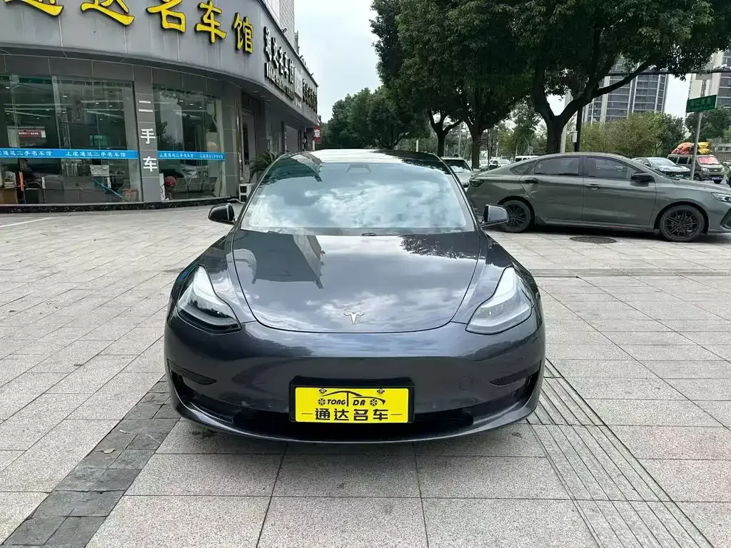 Tesla Model 3 2021 из CN, фото 1