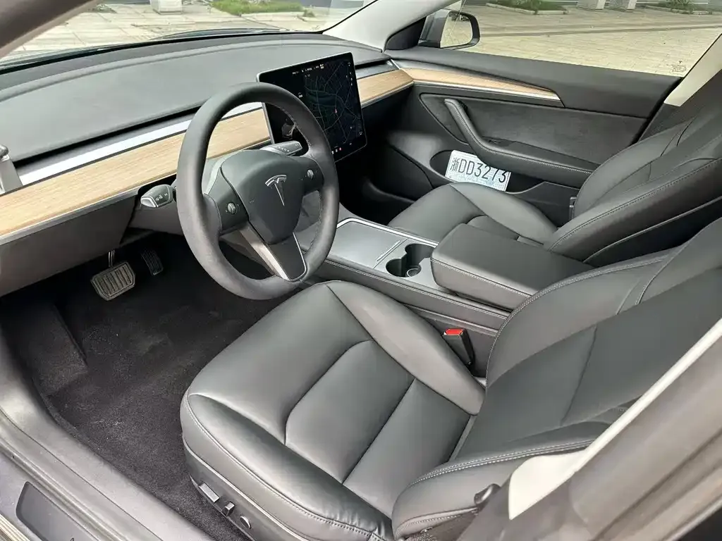 Tesla Model 3 2021 из CN, фото 4