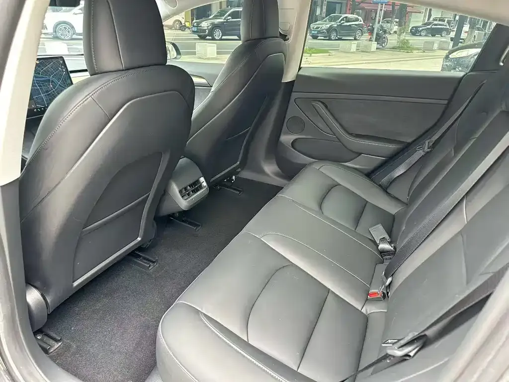 Tesla Model 3 2021 из CN, фото 6